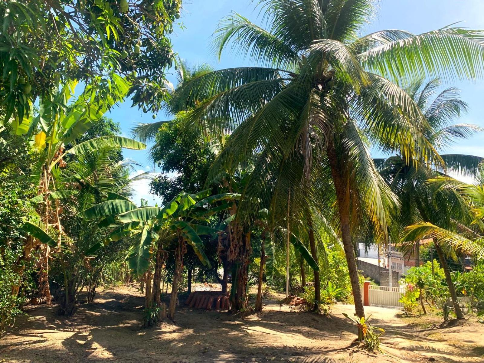 ホテル Jacarecica Haus Maceió エクステリア 写真